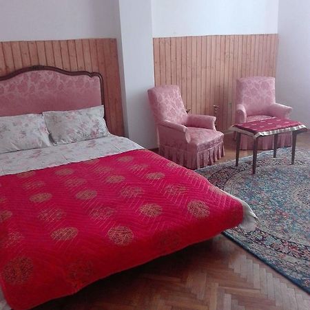 Alfredo Hostel 크라이오바 외부 사진
