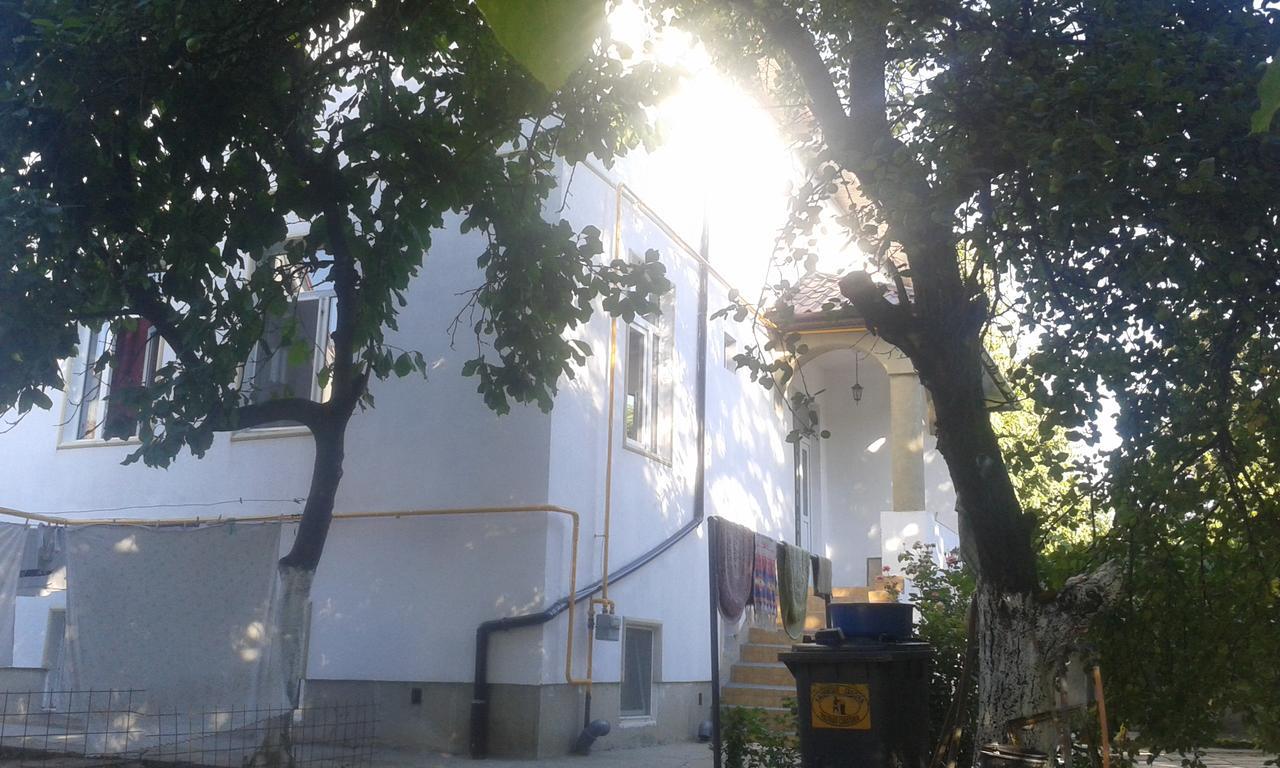 Alfredo Hostel 크라이오바 외부 사진